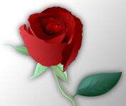 img28062.png