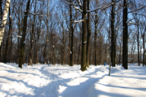 Весна не за горами!