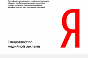 Яндекс Медийная реклама