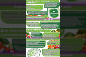 Презентация_1