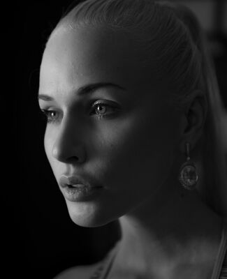 img4015787.png