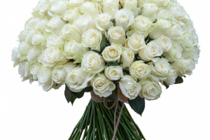 Букет из белых роз