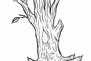 Иллюстрация (вектор)