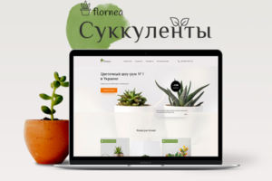 Flornea фирма-производитель суккулентов и плотоядных растений