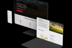 Работа 4111036