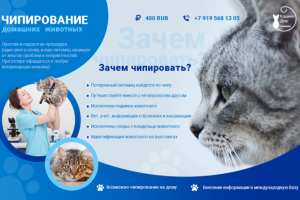 Баннер для ветклиники