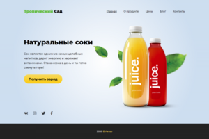 Натуральные соки Landing Page
