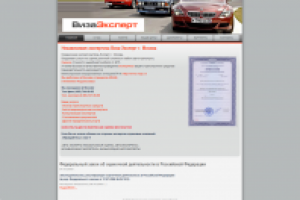 Независимая экспертиза Виза-Эксперт