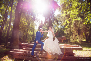 Работа 3423936