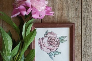 Графика пион