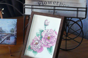 Графика плетистая роза