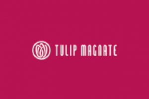 Tulip Magnate