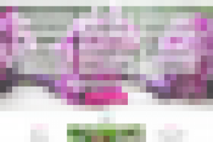 Работа 2022276