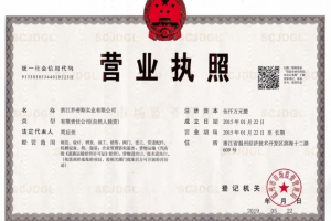 Перевод китайской лицензии на русский язык