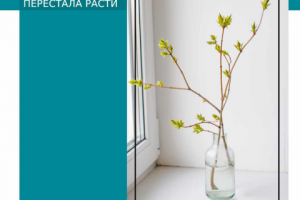 Работа 4137168