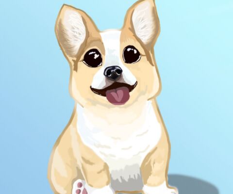 img4137832.png