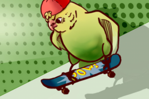 Попугай на скейтборде