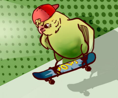 img4137831.png