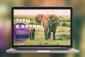 Туры в Африку