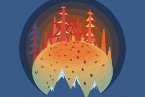 Пожары в сибири