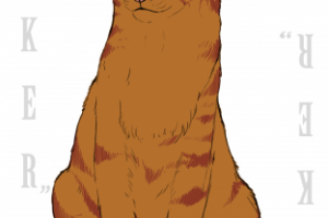 Рыжий карточный кот