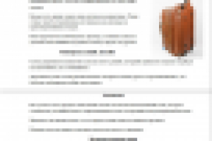 Кожанные сумки на колесах