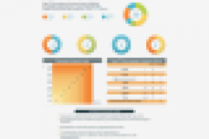 VIP airport services