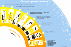 Секрет приготовления одуванчикового варения