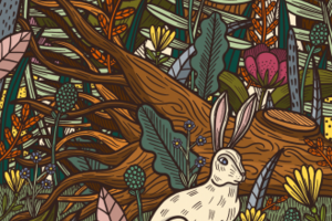 Bunny