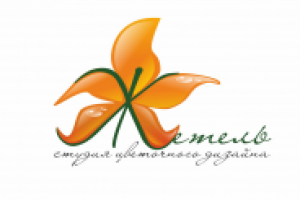 Работа 1704029