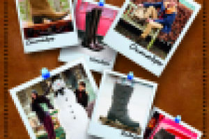 Работа 1652481