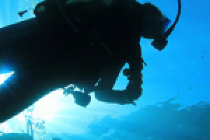 База отдыха