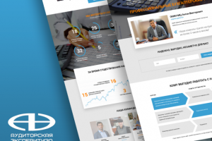 Аудиторская экспертиза