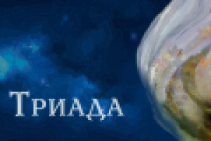 Работа 2864607