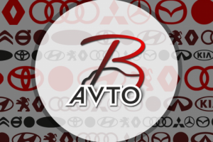 Логототип "Berezavto"