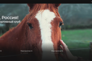 КСК "Виват, Россия!"