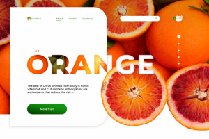 Фруктовая лавка