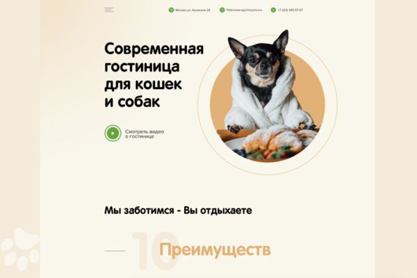 img4121723.png