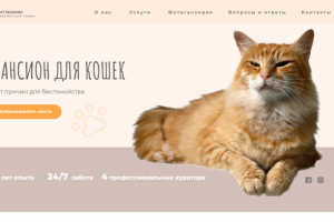 сайт для пансиона кошек