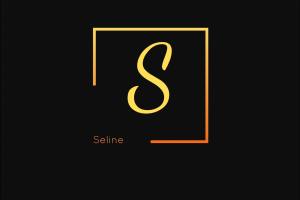 Логотип для бренда Seline