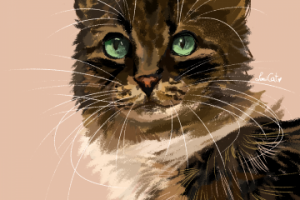 Работа 3885378