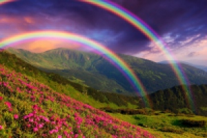 Предисловие к веб-страницам детских загадок