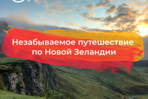 Баннер для Instagram (Hellori Group)