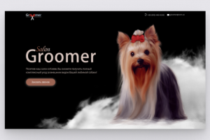 Groomer