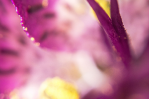 Работа 4131011