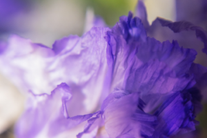 Работа 4131008