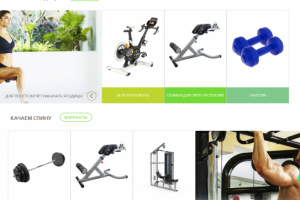 SEO-аудит интернет-магазина спортивных товаров