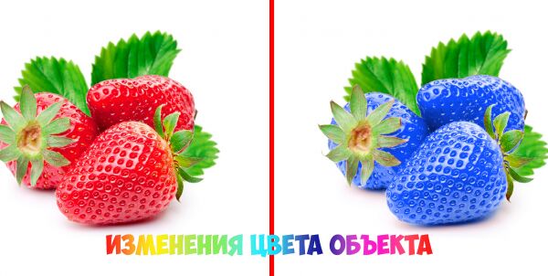 img3908056.png