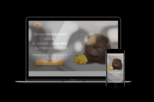 Дизайн лендинг для питомника щенков Померанского шпица