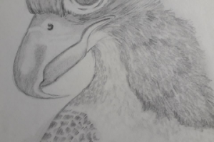 Работа 3982151